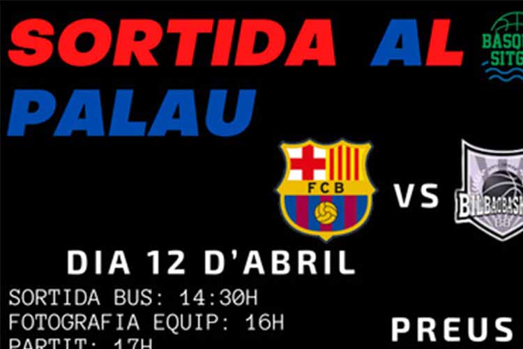 Sortida de jugadors i aficionats per assistir a un partit de bàsquet al Palau Blaugrana, i gaudir d’aquest esport en el seu màxim nivell. Es realitza un foto dels participants amb els jugadors professionals a la mateixa pista. Obsequi d’una samarreta de l’activitat.